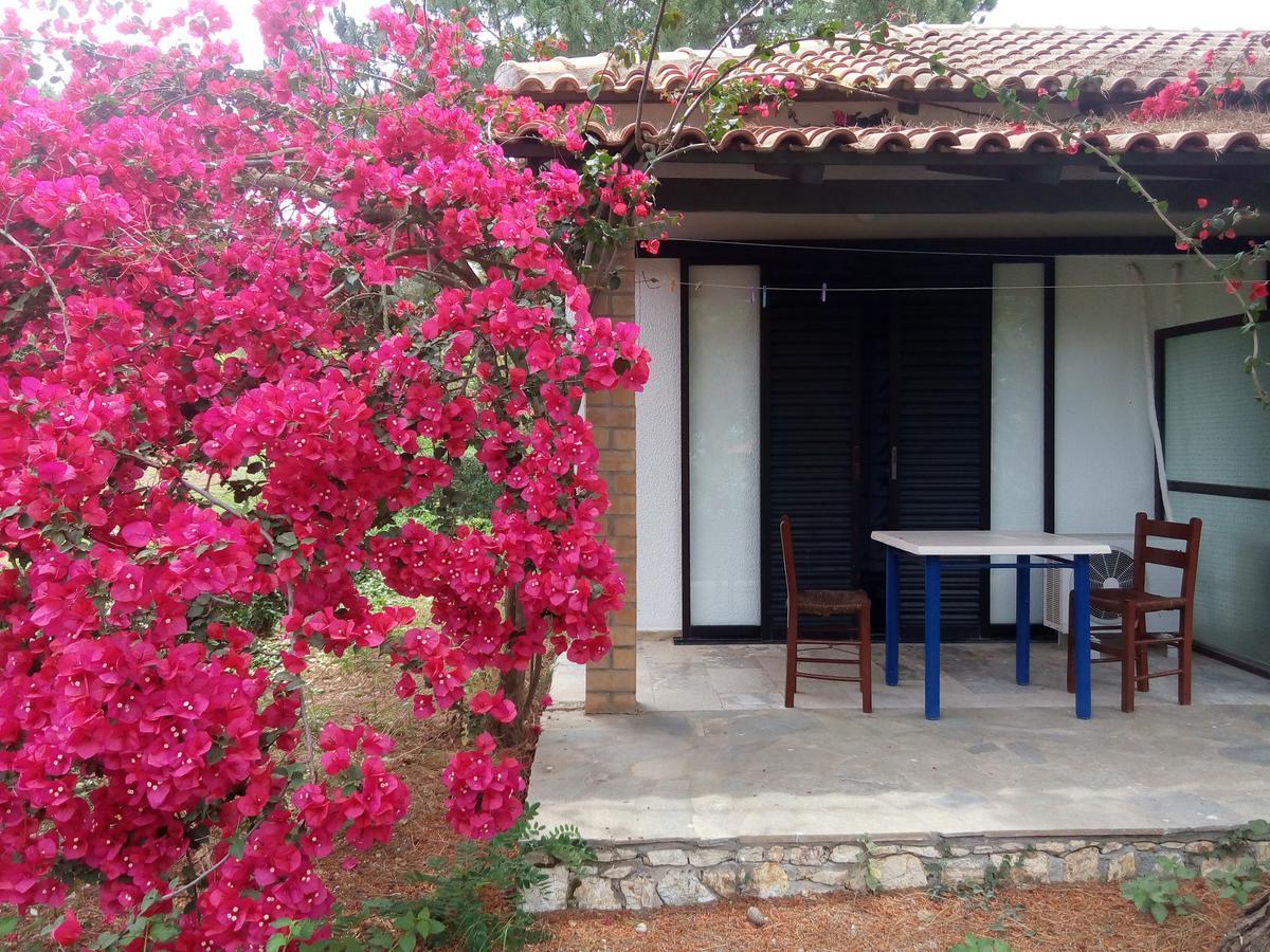 Hotel Dougas Arkoudi Exterior foto